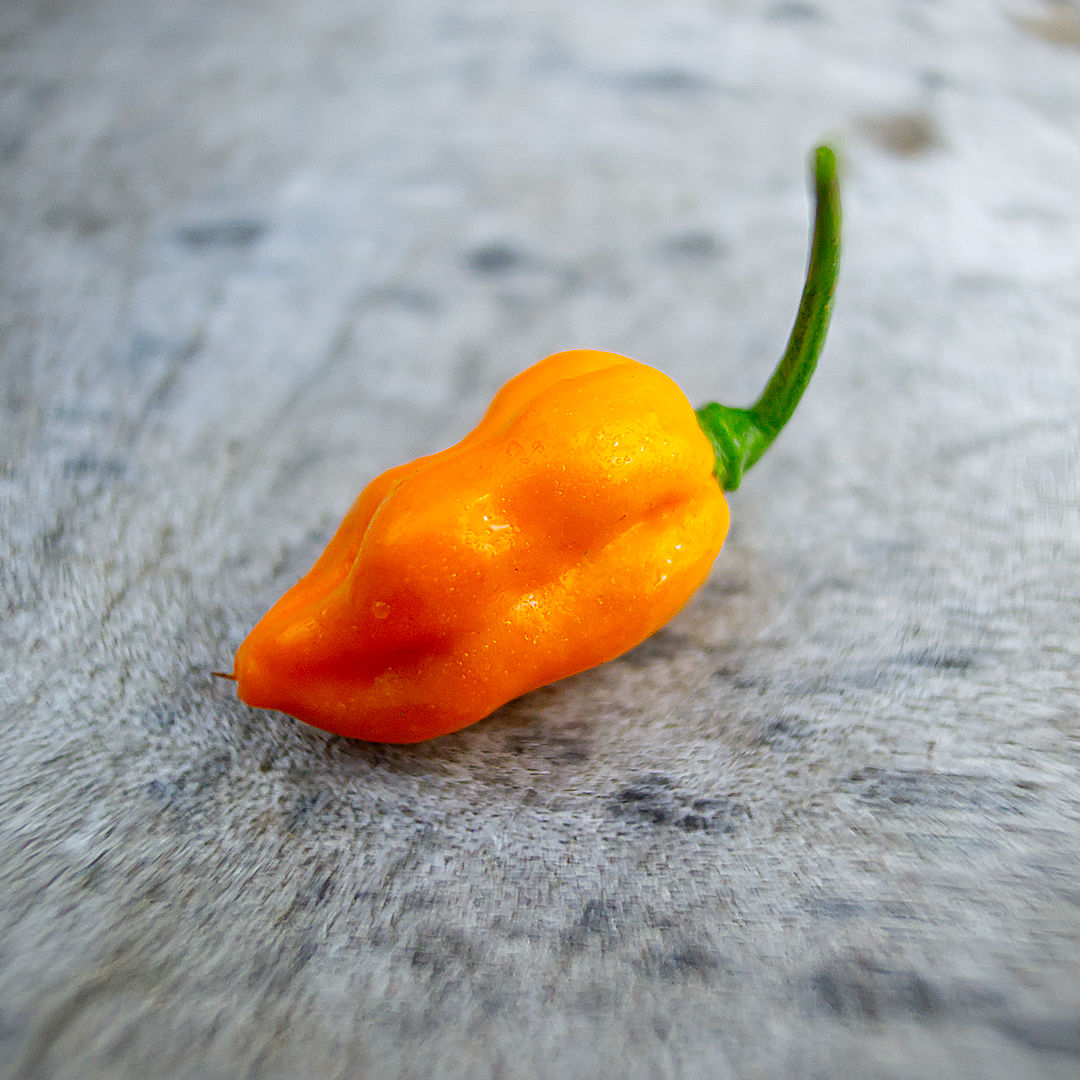 Lemon Habanero 