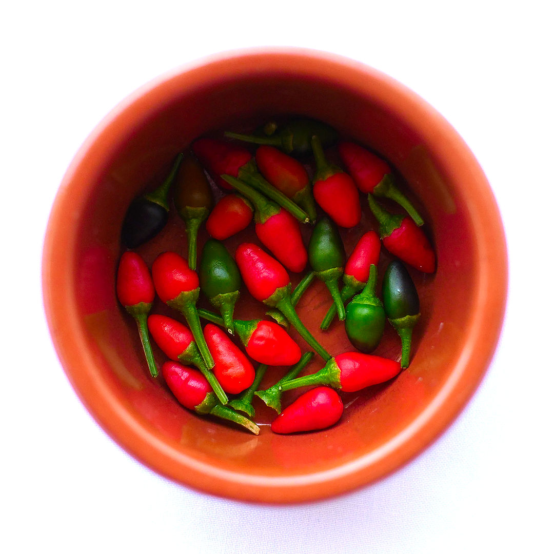 Pequin chilli pods in bowl