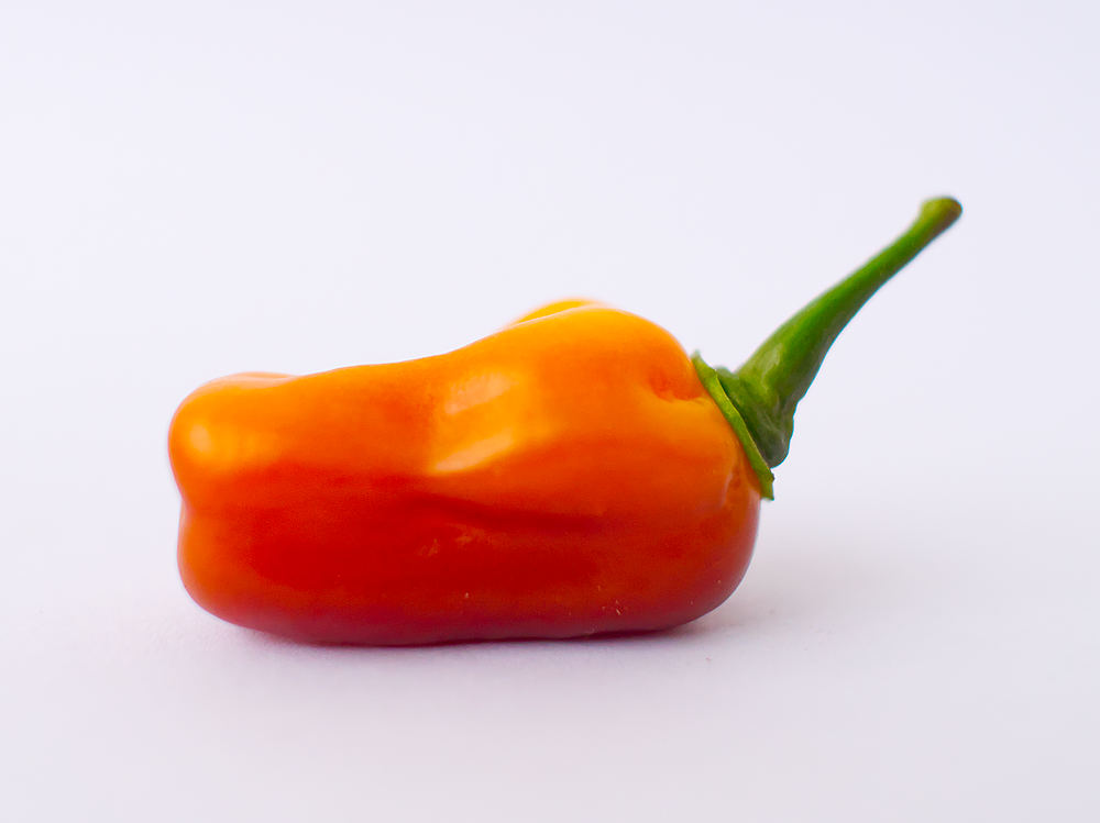 Pimenta Puma