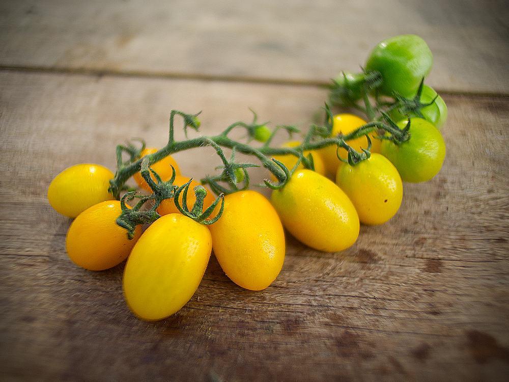 Lemoncito tomatoes