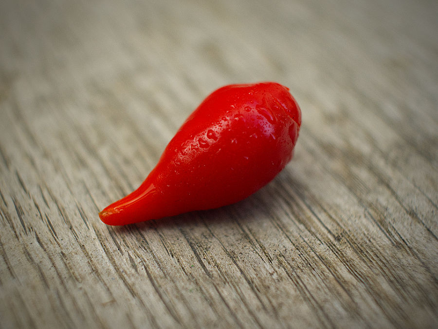 Red Biquinho chillies single pod