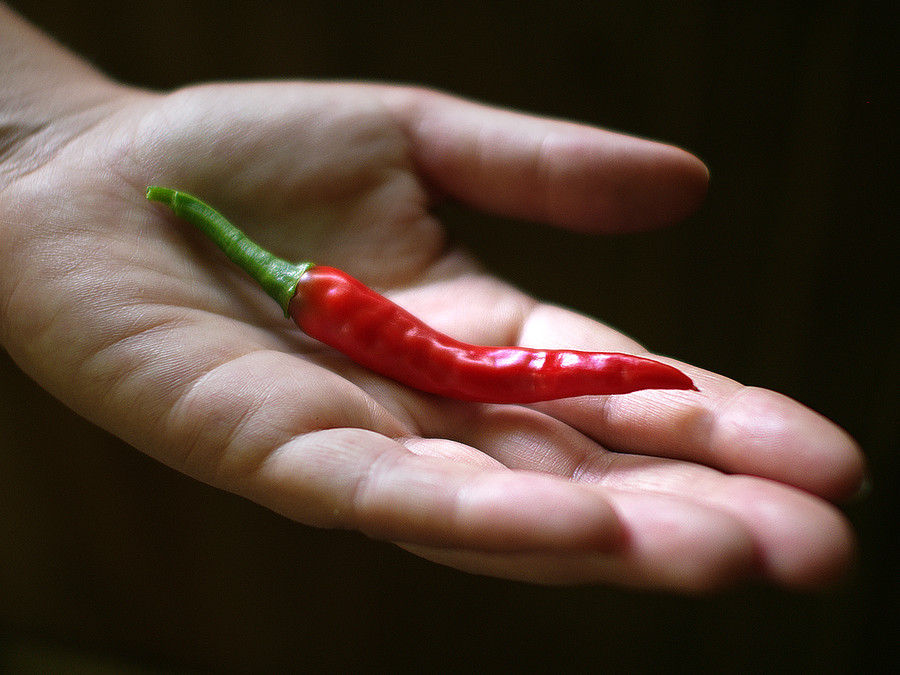 superhot chilli pods