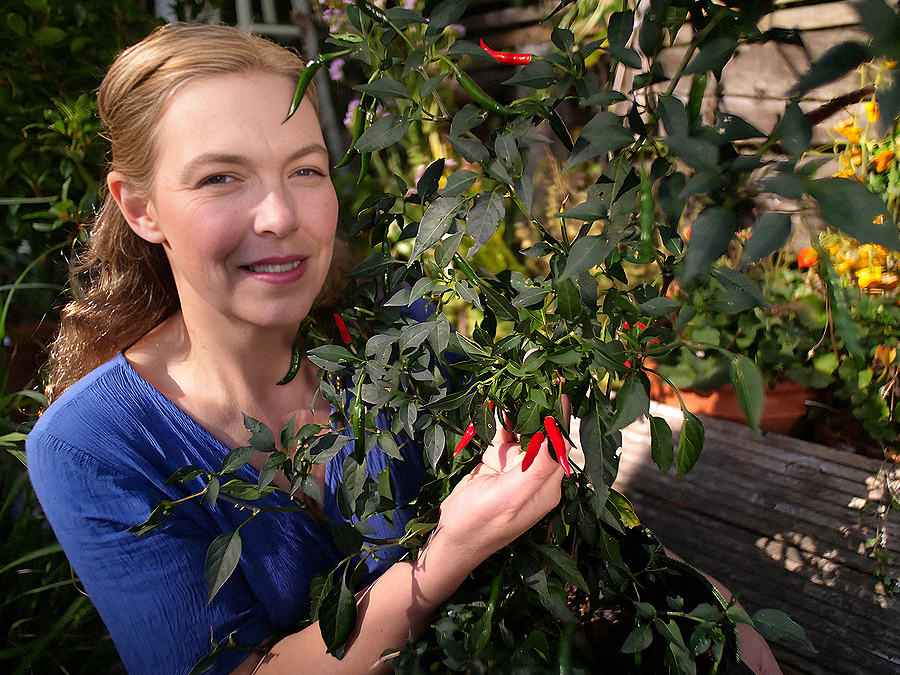 Ring of Fire cayenne chilli