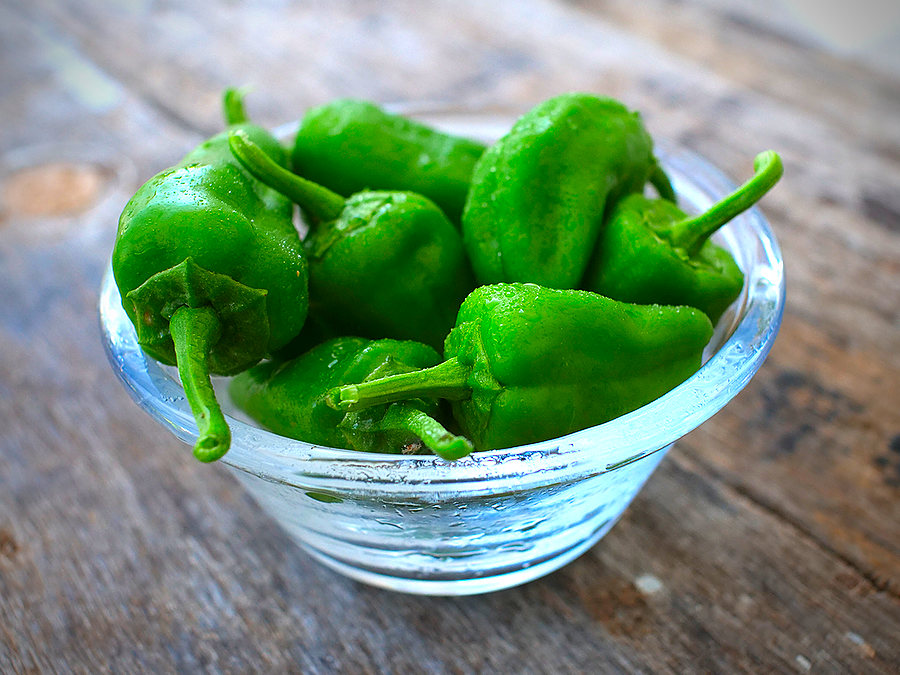 pimento de padron pods in bowl