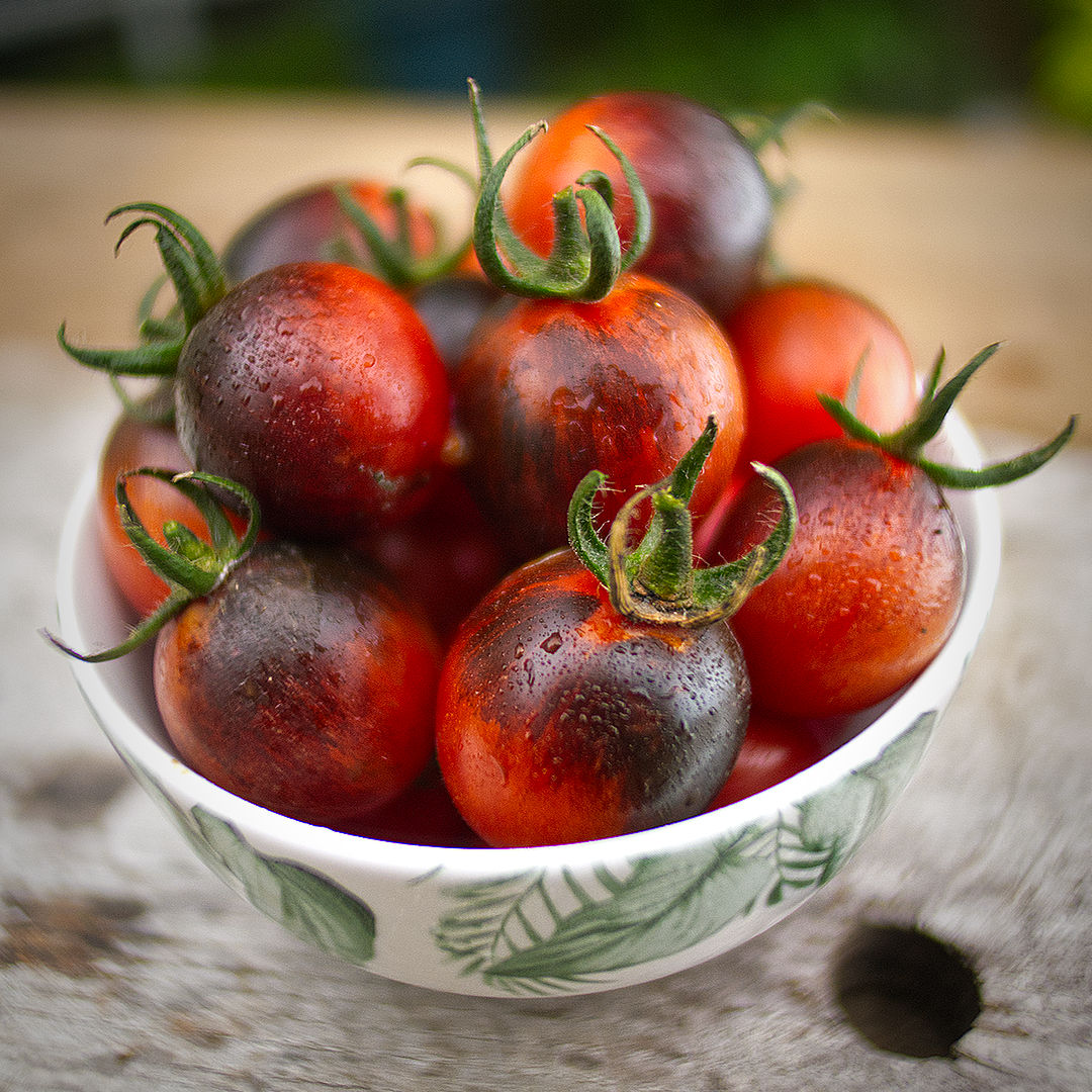 world of chillies Black Moon tomatoes in a bowl