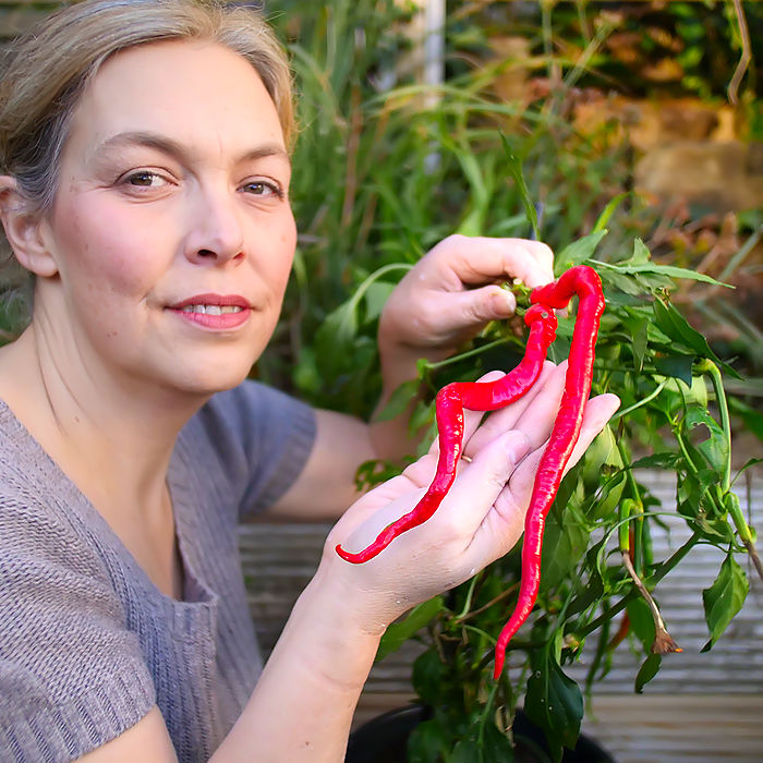 chinese space chilli