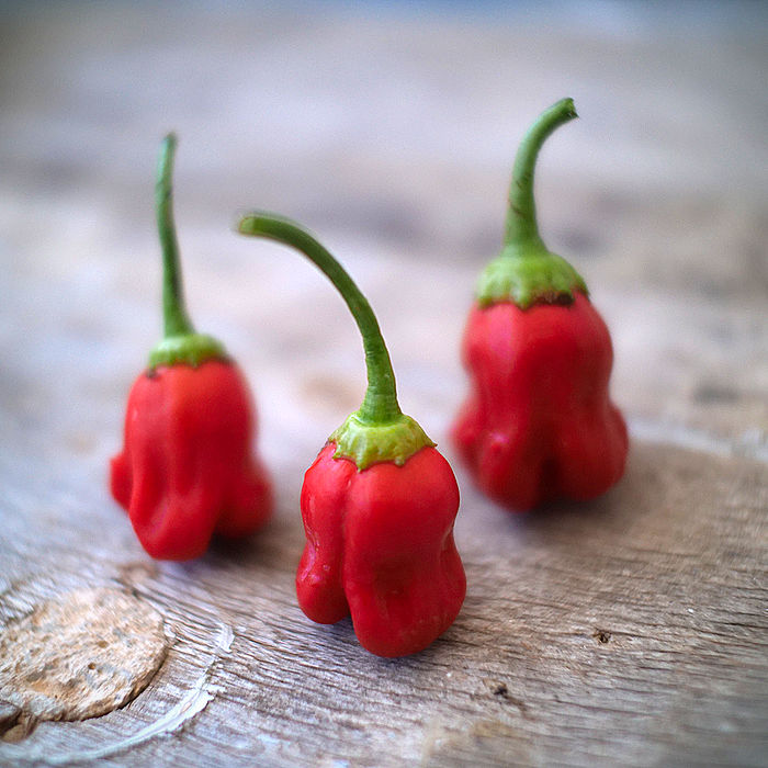 Lemon Habaneros in bowl