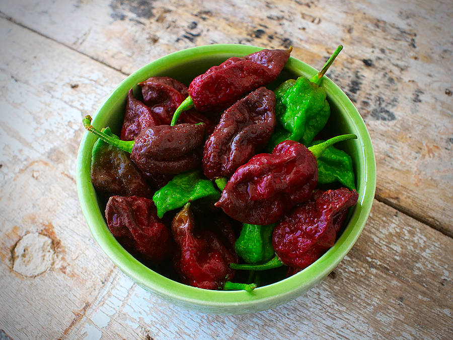 Bowl of Kraken chilli pods