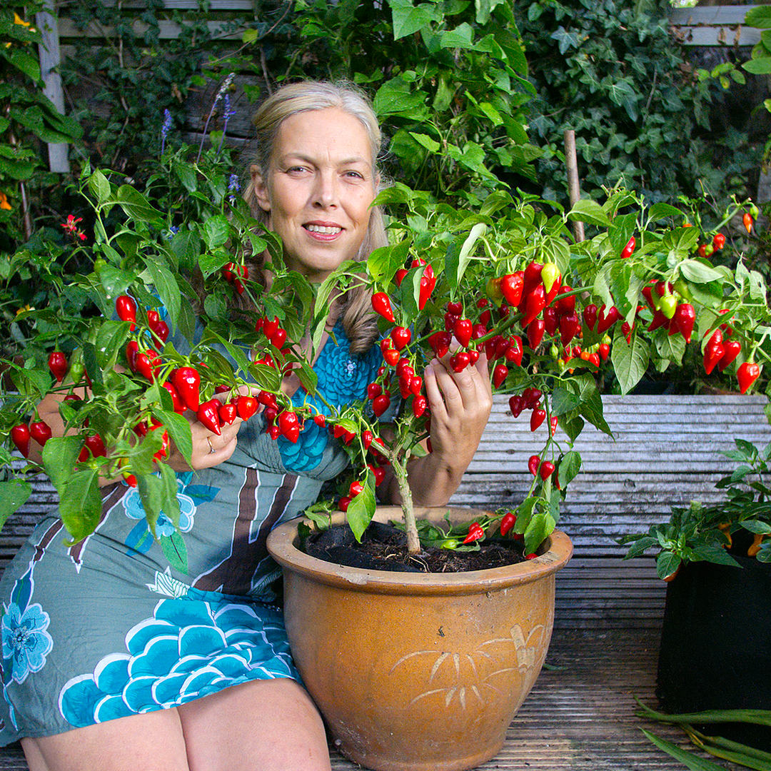 World of Chilies: Raging Bull chilli with Sarah Hunt