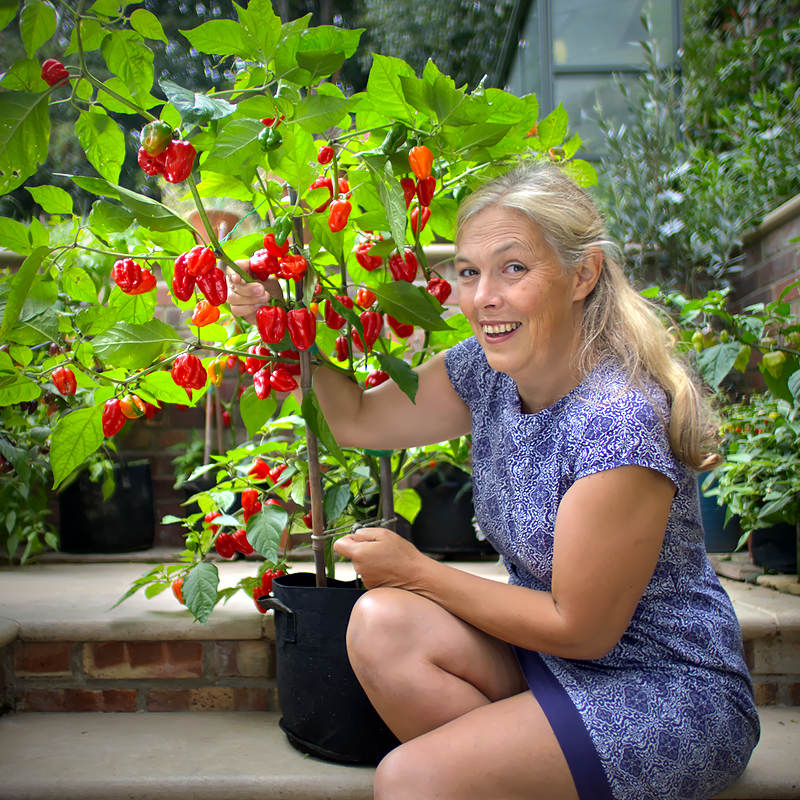 raging bull chilli