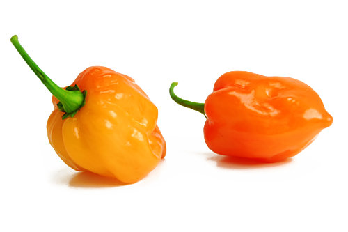  Orange Habanero Chilli Pods 
