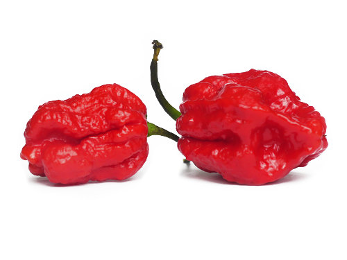  Borg 9 Chillies 