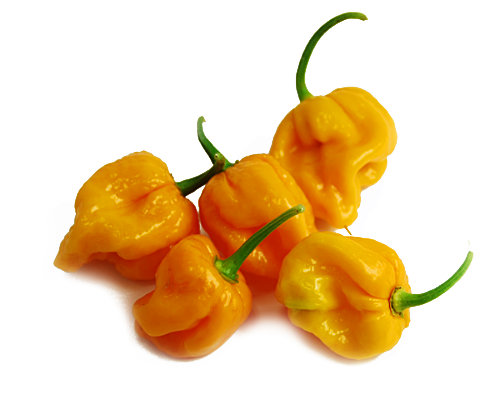  Yellow Seven Pot Pods 