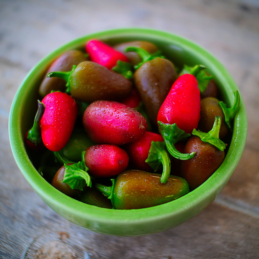 World of Chillies Jalapeno ripe red and green chillies in bowls