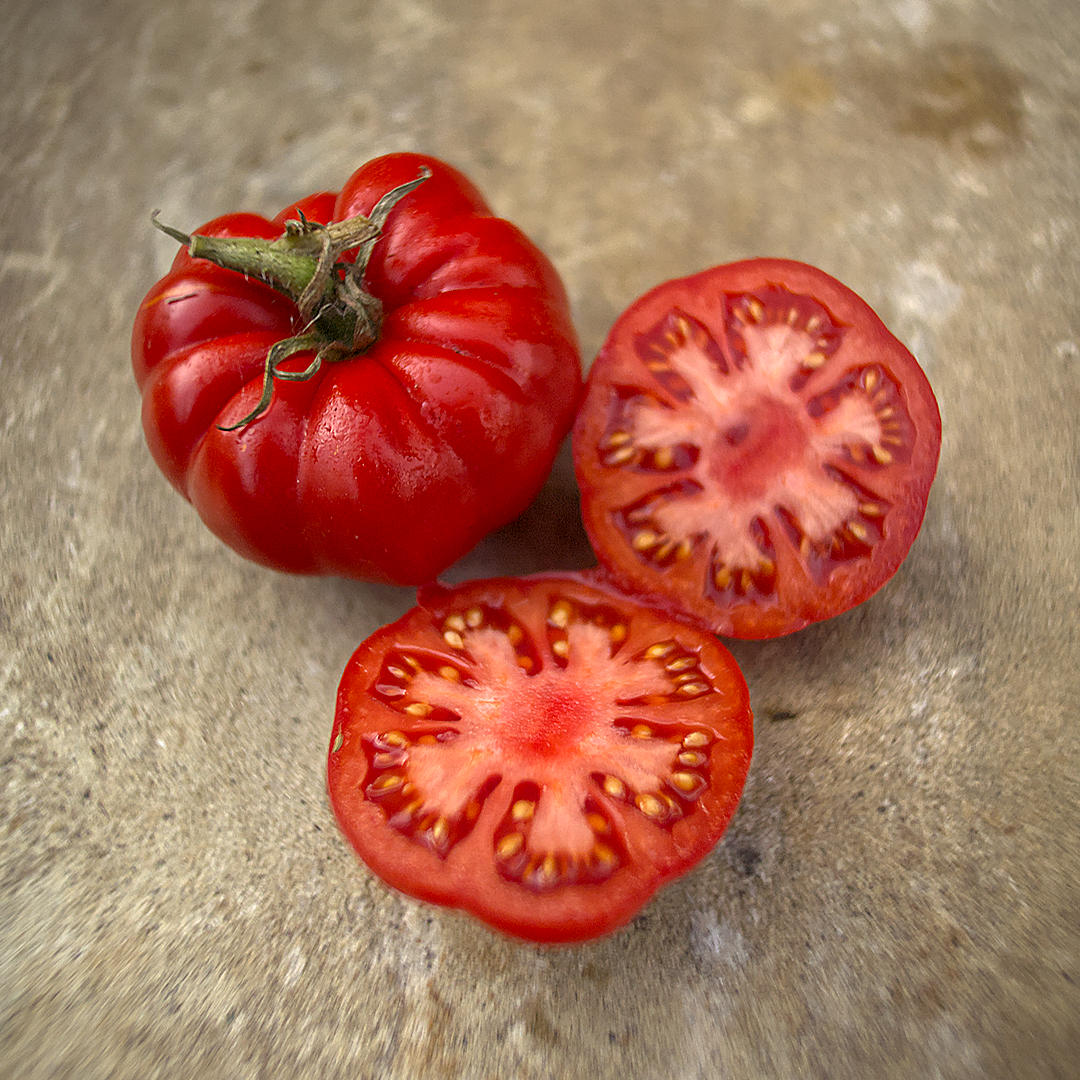 world of chillies super marmande tomato cut open showing dense flesh