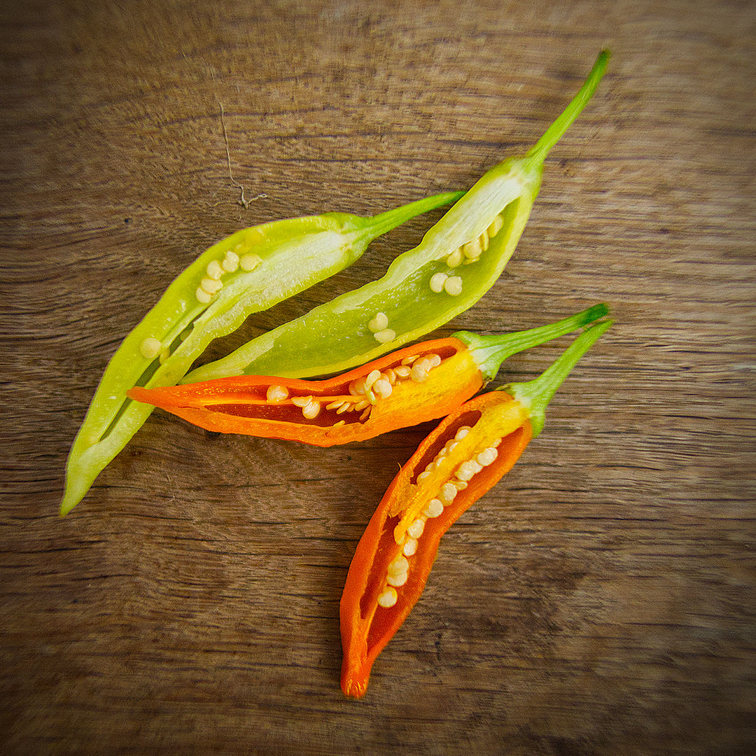World of Chillies Havana Gold chilli cut  open on board