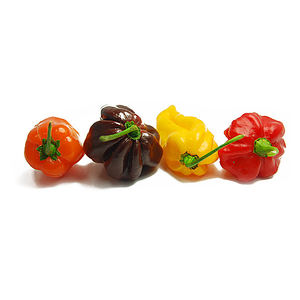 World of Chillies Lemon Habanero chillies with garlic, lime and vinegar for sauce making