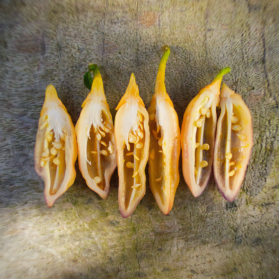 World of Chillies sliced Peach Gum Tiger chillies showing seeds and thin walls