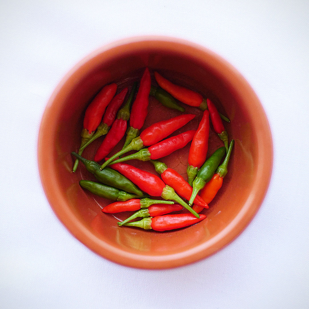 World of Chillies Piri Piri Chillies in terracotta bowl