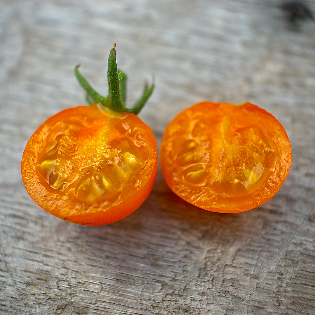 world of chillies sungold tomato cut open showing flesh and seeds