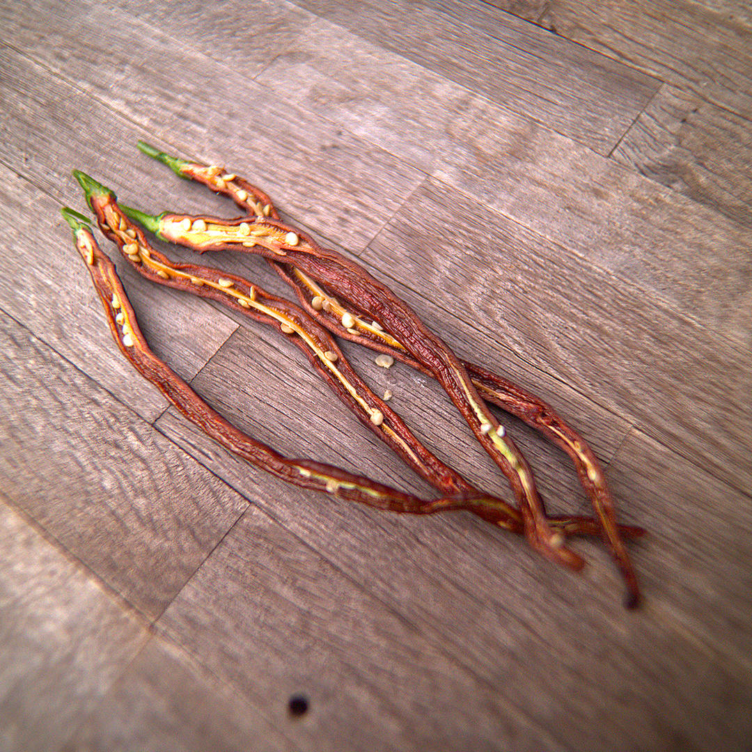 Thin walls and sparse flesh mean these dry quickly without losing flavour.