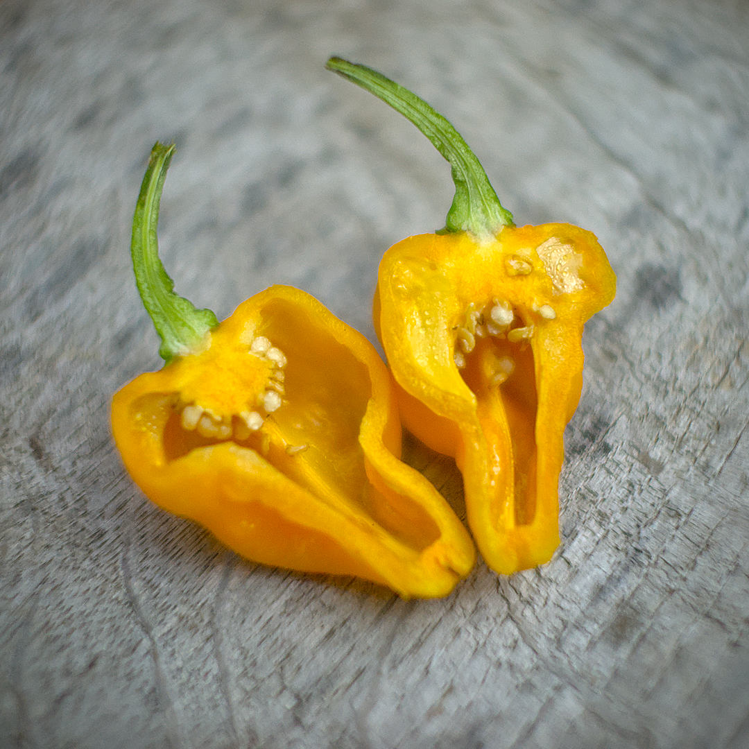 World of Chillies single Yellow Moruga Scorpion chilli on wood