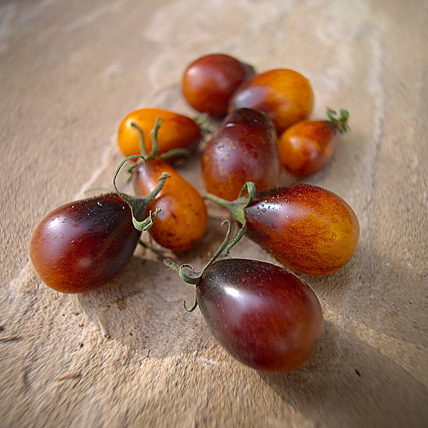 World of Chillies: Indiogo Pear Drop tomatoes freshly picked