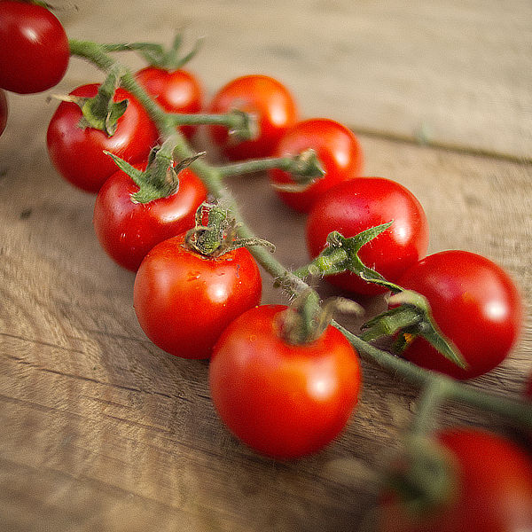 World of Chillies: Gardener's Delight tomato truss