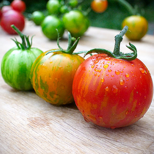 World of Chillies: Tigerella tomatoes displayed on board